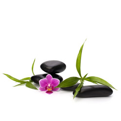 Similar image 2976038