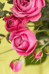 Similar image 2976040