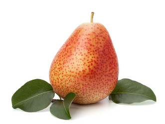 Similar image 2976042