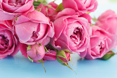 Similar image 2976043