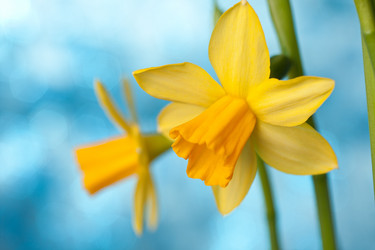 Similar image 2976051