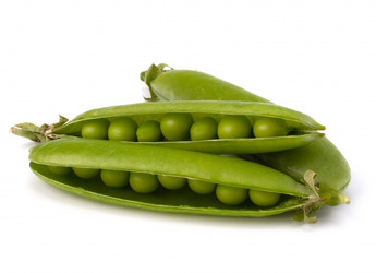 Similar image 2976058