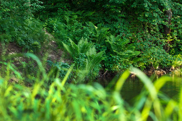 Similar image 2976077