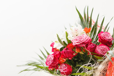 Similar image 2976078