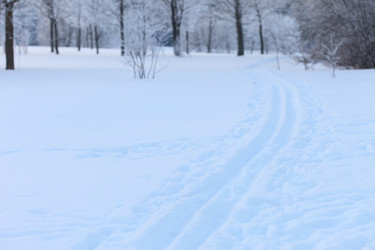 Similar image 2976079