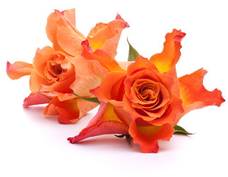 Similar image 2976153