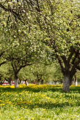 Similar image 2976156