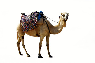 Similar image 2976159