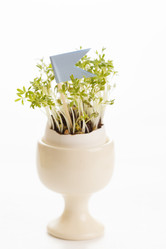 Similar image 2976161