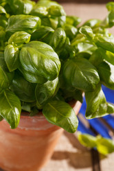 Similar image 2976176