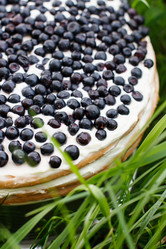 Similar image 2976180