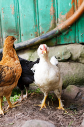 Similar image 2976187