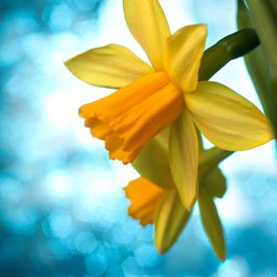 Similar image 2976197