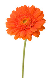 Similar image 2976209