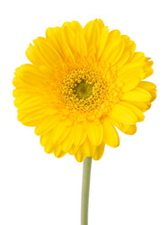 Similar image 2976211