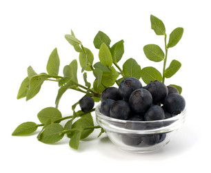 Similar image 2976248