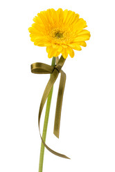 Similar image 2976269