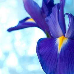 Similar image 2976274