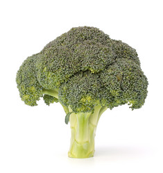 Similar image 2976384