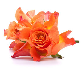 Similar image 2976387