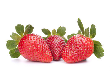 Similar image 2976396