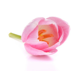 Similar image 2976402