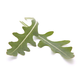 Similar image 2976405