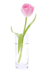 Similar image 2976406