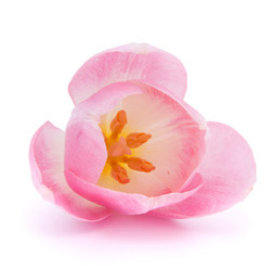 Similar image 2976408