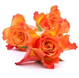 Similar image 2976426