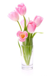 Similar image 2976429