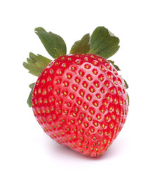 Similar image 2976434