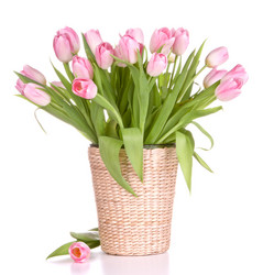 Similar image 2976436