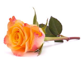 Similar image 2976458