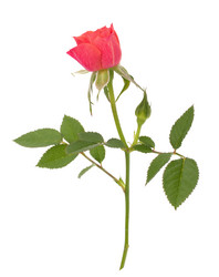 Similar image 2976462