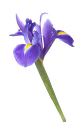 Similar image 2976476