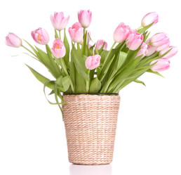 Similar image 2976484