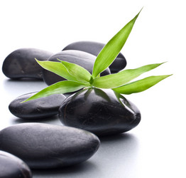 Similar image 2976501