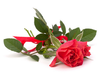 Similar image 2976512