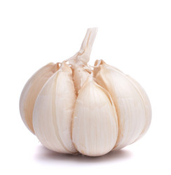 Similar image 2976527