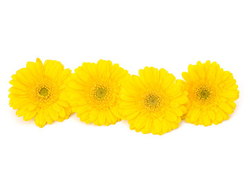 Similar image 2976532