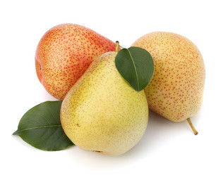 Similar image 2976578