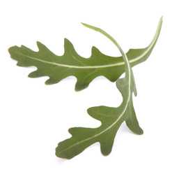 Similar image 2976582