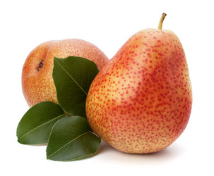 Similar image 2976583