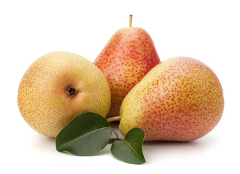 Similar image 2976670