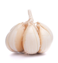 Similar image 2976672