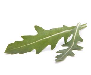 Similar image 2976676