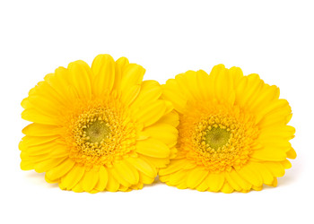 Similar image 2976687