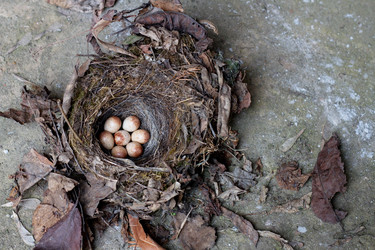 Similar image 2976701