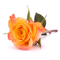 Similar image 2976711